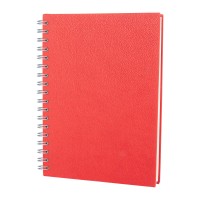 ELMADAĞ KIRMIZI TARİHLİ SPİRALLİ AJANDA (17X24 CM)