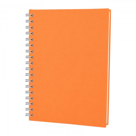 ELMADAĞ TURUNCU TARİHLİ SPİRALLİ AJANDA (17X24 CM)