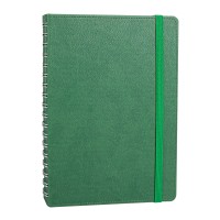 ANITTEPE YEŞİL TARİHLİ GİZLİ SPİRALLİ AJANDA (17X24 CM)