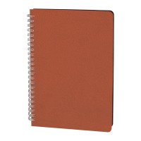 AKYURT TABA SPİRALLİ TARİHSİZ DEFTER (13X21 CM)